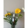 Beauty of Joseon Ginseng product image